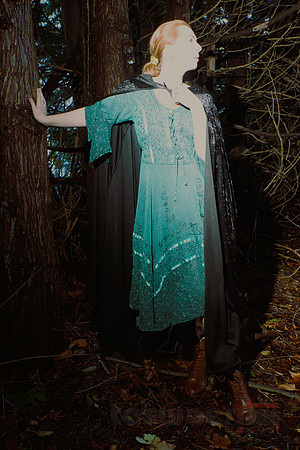 Lost in the Woods (with Angharatha)