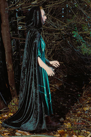 Lost in the Woods (with Angharatha)