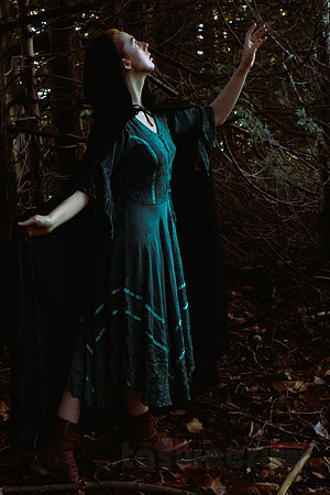 Lost in the Woods (with Angharatha)