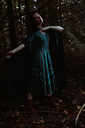 Lost in the Woods (with Angharatha)