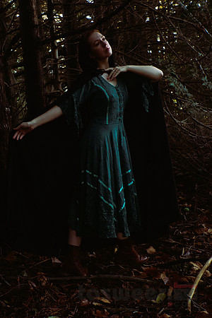 Lost in the Woods (with Angharatha)