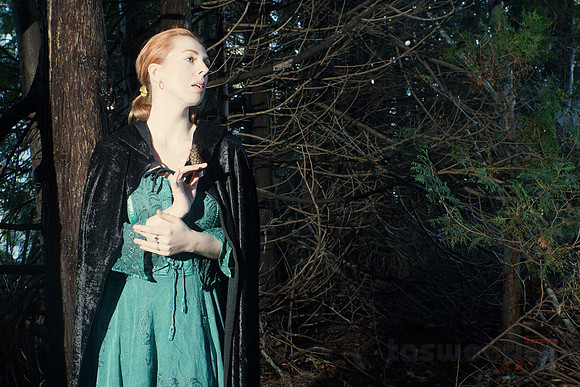 Lost in the Woods (with Angharatha)