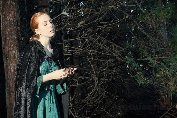Lost in the Woods (with Angharatha)