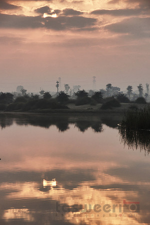 Sunrise over Al Qudra wetlands
