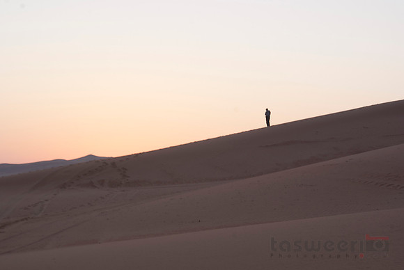 A Silhouette in the Desert