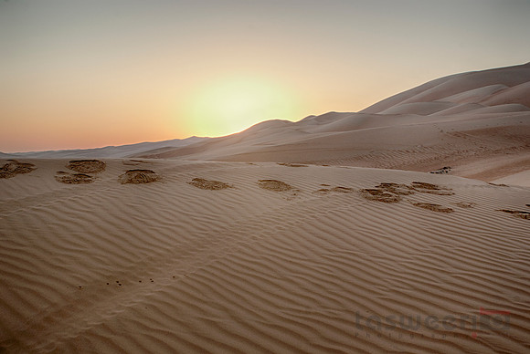 Footprints in the Sand