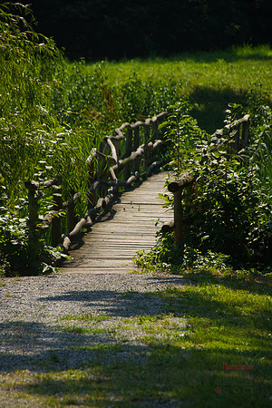 A Bridge to Wilderness