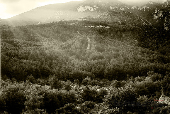Wandering in the Mountains