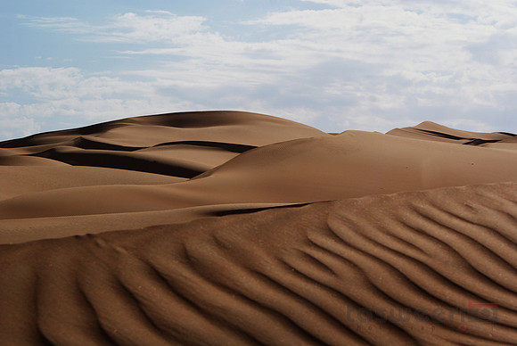 Lines in the Sand