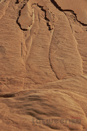 Sculptures in the Sand