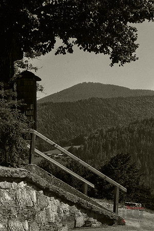 From the Church