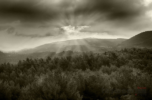 Wandering in the Mountains