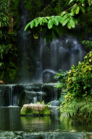 Waterfall Beauty