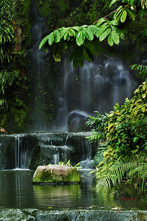 Waterfall Beauty