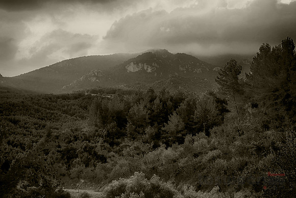 Wandering in the Mountains