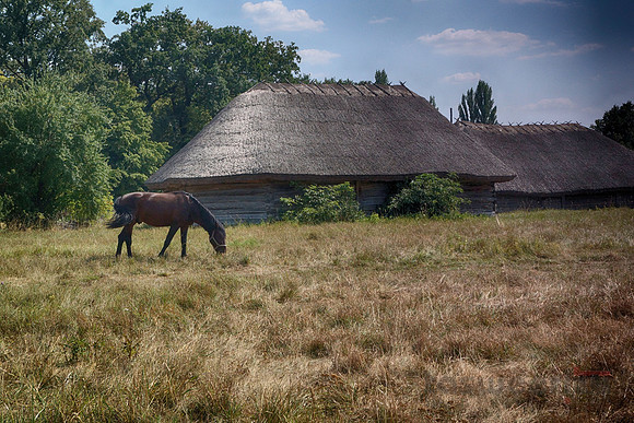 Ukranian Village