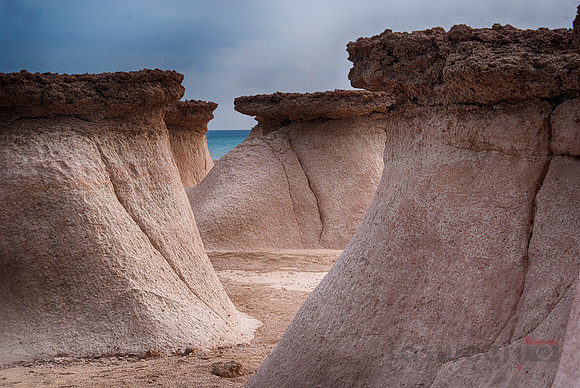 Natural Sculpture