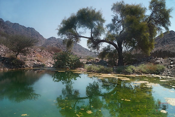 A Centre of Life in a Harsh Environment