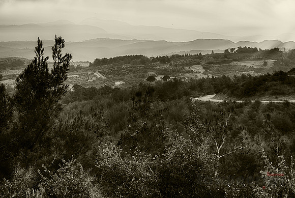 Wandering in the Mountains