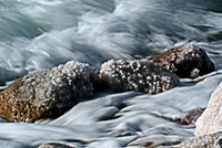 Dead Sea Alive