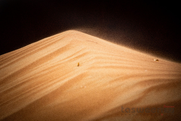 Sand Dune Miniature