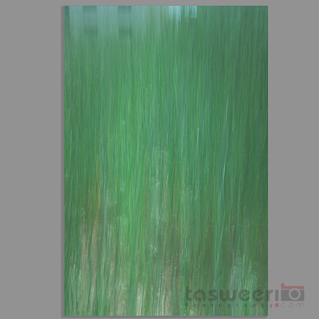 Painting with Light and Movement - a Crazy Moment during Covid