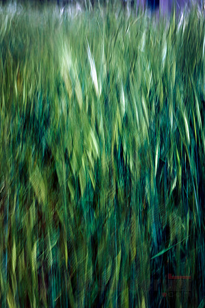 Painting with Light and Movement - a Crazy Moment during Covid