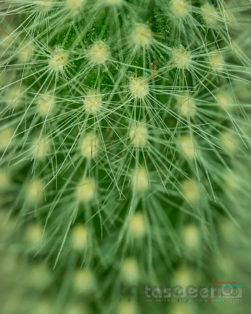 Natural Geometry