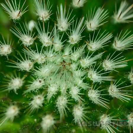 Natural Geometry