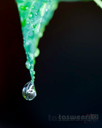 Water is Life