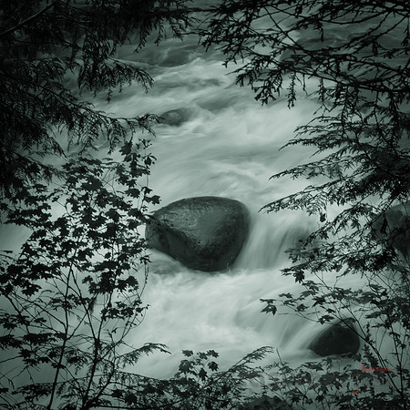 Flushing River in Lynn Valley