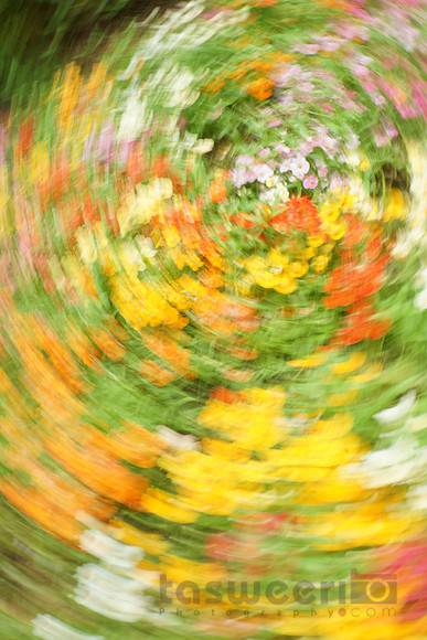 Controlled Mvement with Flowers