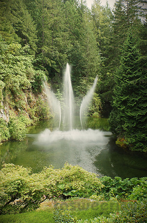 Water Tango